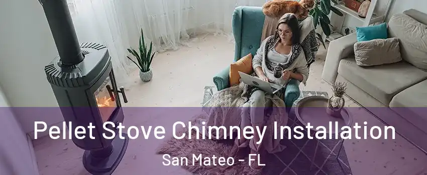Pellet Stove Chimney Installation San Mateo - FL