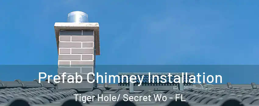 Prefab Chimney Installation Tiger Hole/ Secret Wo - FL