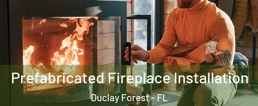 Prefabricated Fireplace Installation Duclay Forest - FL