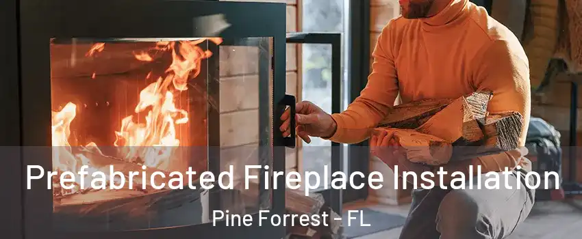 Prefabricated Fireplace Installation Pine Forrest - FL