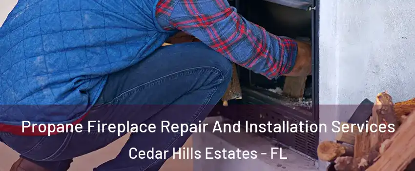 Propane Fireplace Repair And Installation Services Cedar Hills Estates - FL