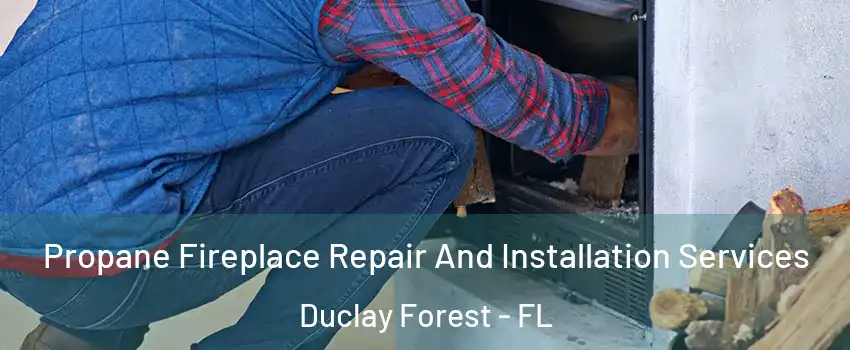 Propane Fireplace Repair And Installation Services Duclay Forest - FL