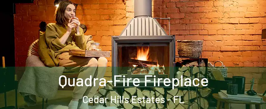 Quadra-Fire Fireplace Cedar Hills Estates - FL