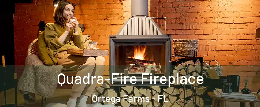 Quadra-Fire Fireplace Ortega Farms - FL