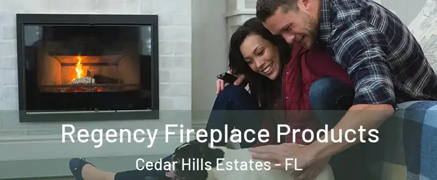 Regency Fireplace Products Cedar Hills Estates - FL