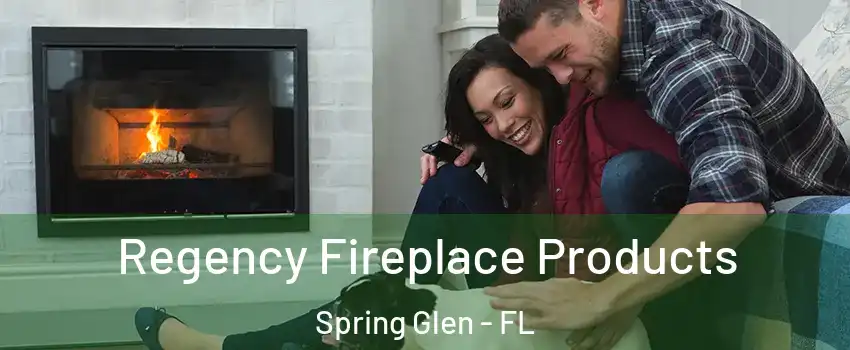 Regency Fireplace Products Spring Glen - FL