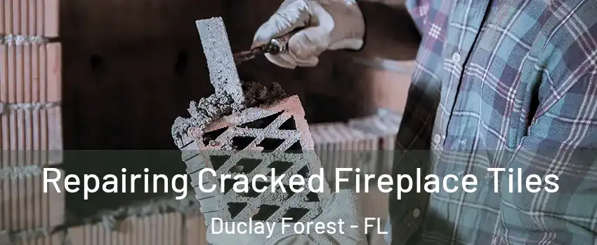 Repairing Cracked Fireplace Tiles Duclay Forest - FL