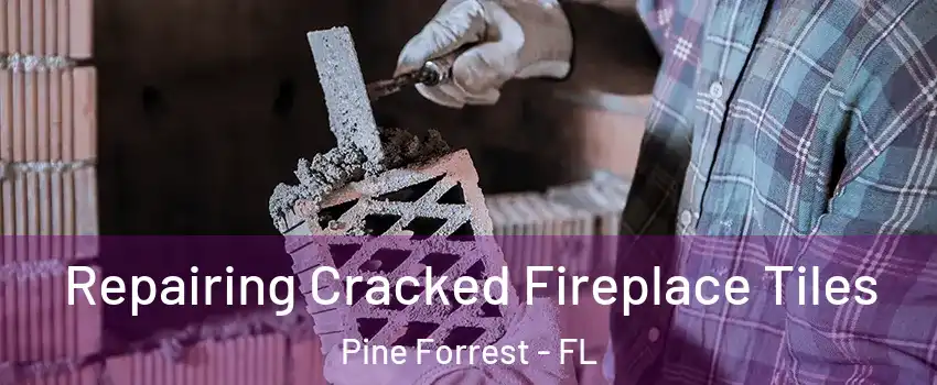 Repairing Cracked Fireplace Tiles Pine Forrest - FL