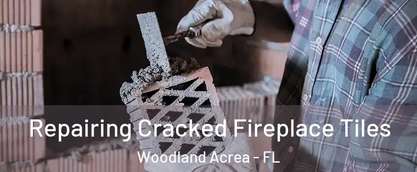 Repairing Cracked Fireplace Tiles Woodland Acrea - FL