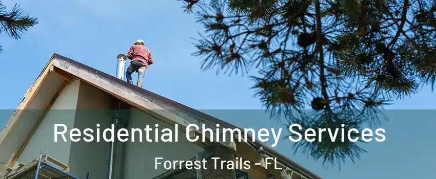 Residential Chimney Services Forrest Trails - FL