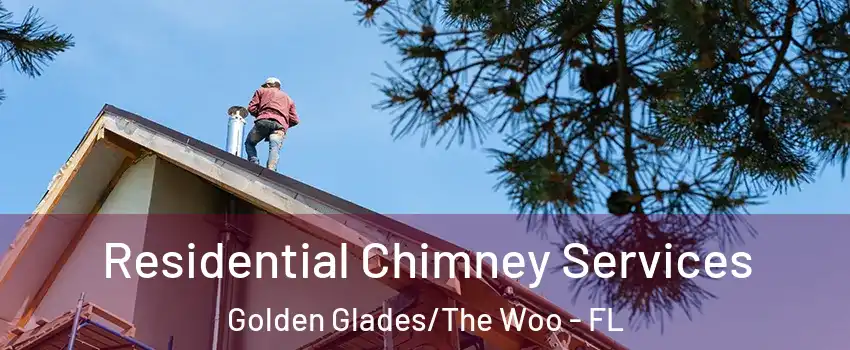 Residential Chimney Services Golden Glades/The Woo - FL