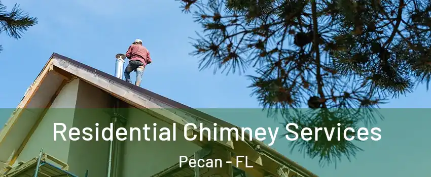 Residential Chimney Services Pecan - FL