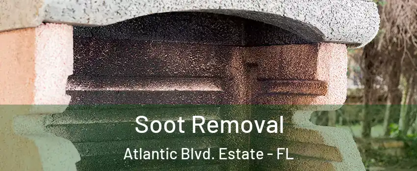 Soot Removal Atlantic Blvd. Estate - FL