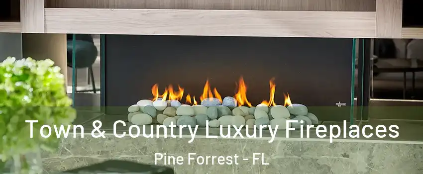 Town & Country Luxury Fireplaces Pine Forrest - FL