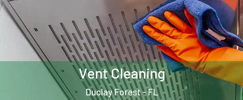 Vent Cleaning Duclay Forest - FL