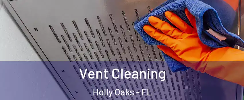 Vent Cleaning Holly Oaks - FL