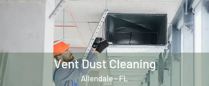 Vent Dust Cleaning Allendale - FL