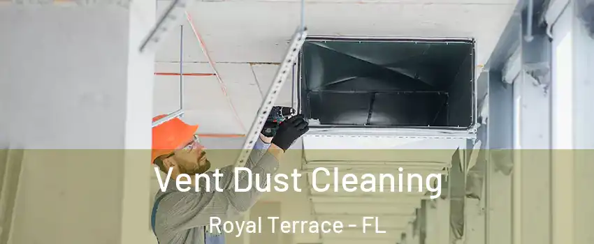 Vent Dust Cleaning Royal Terrace - FL