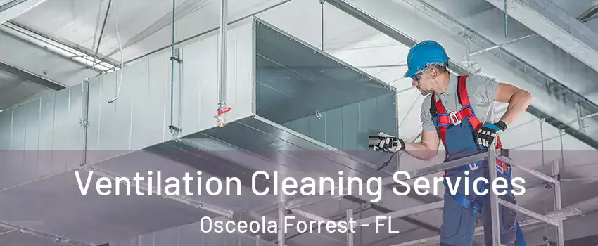 Ventilation Cleaning Services Osceola Forrest - FL