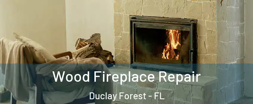 Wood Fireplace Repair Duclay Forest - FL