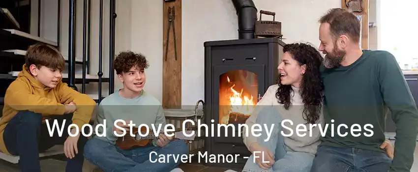 Wood Stove Chimney Services Carver Manor - FL