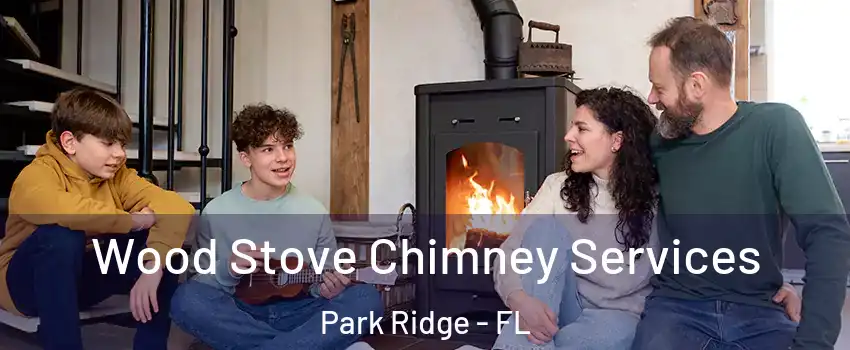 Wood Stove Chimney Services Park Ridge - FL