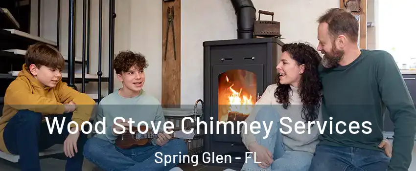 Wood Stove Chimney Services Spring Glen - FL