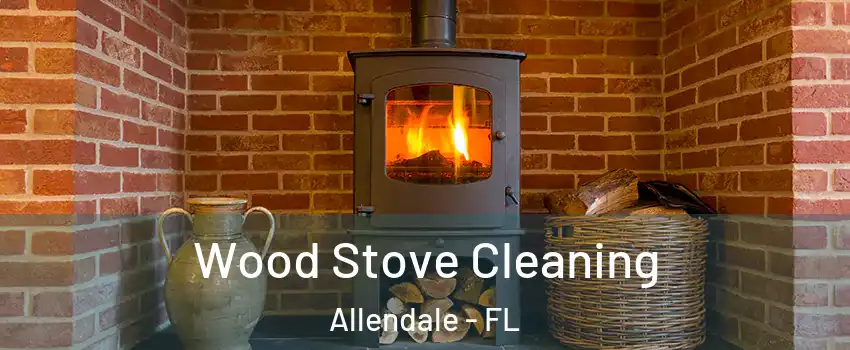 Wood Stove Cleaning Allendale - FL