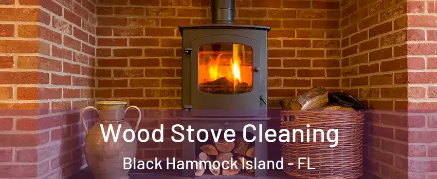 Wood Stove Cleaning Black Hammock Island - FL