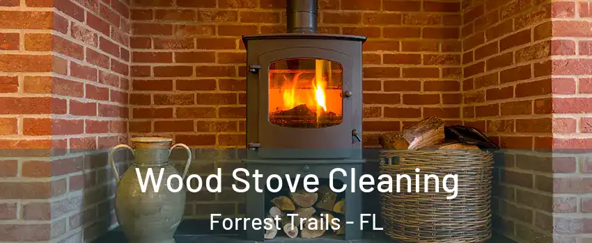 Wood Stove Cleaning Forrest Trails - FL