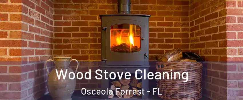 Wood Stove Cleaning Osceola Forrest - FL