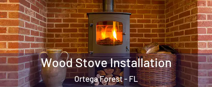 Wood Stove Installation Ortega Forest - FL