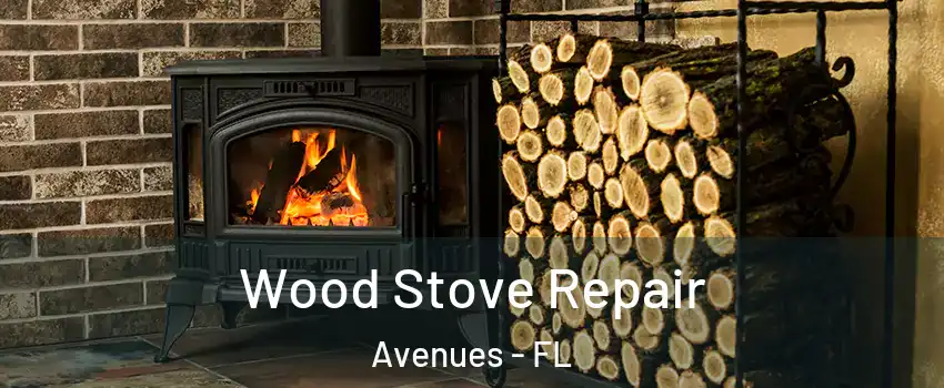 Wood Stove Repair Avenues - FL